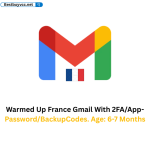 Warmed Up France Gmail With 2FA/App-Password/BackupCodes. Age: 6-7 Months