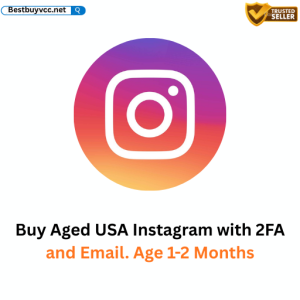 Buy Aged USA Instagram with 2FA and Email. Age 1-2 Months