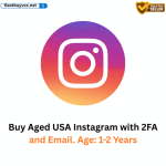 Buy Aged USA Instagram with 2FA and Email. Age: 1-2 Years