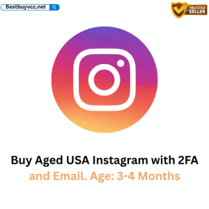 Buy Aged USA Instagram with 2FA and Email. Age: 3-4 Months